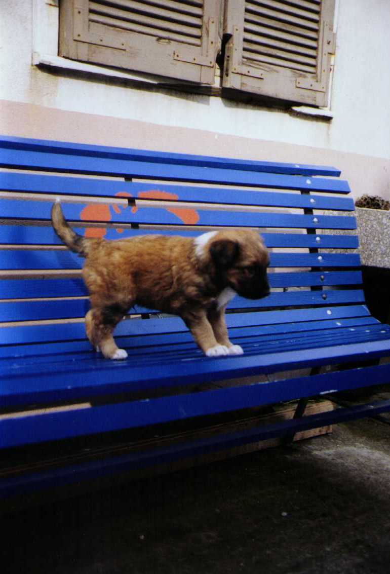 Wie komme ich da wohl wieder runter???