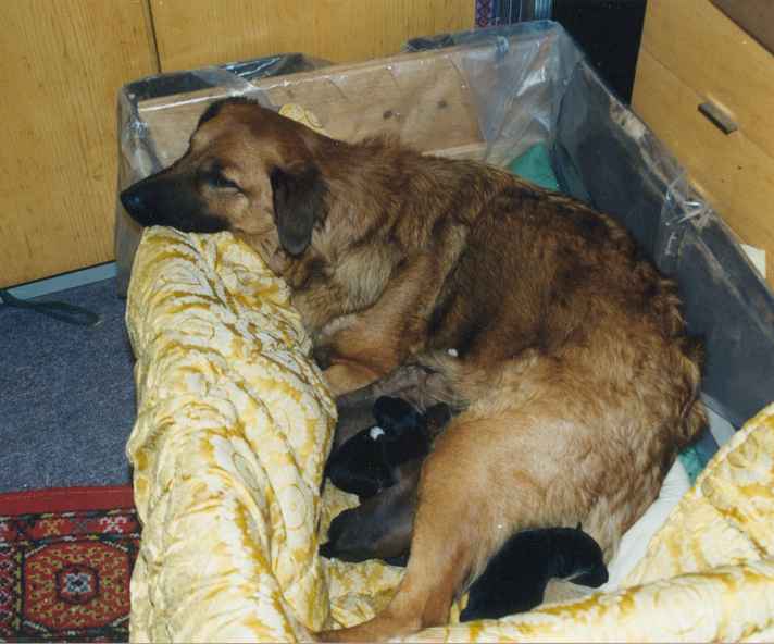 Der kleine mit dem wei&szlig;en Fleck bin ich