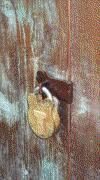Schrank1D.gif (218830 Byte)